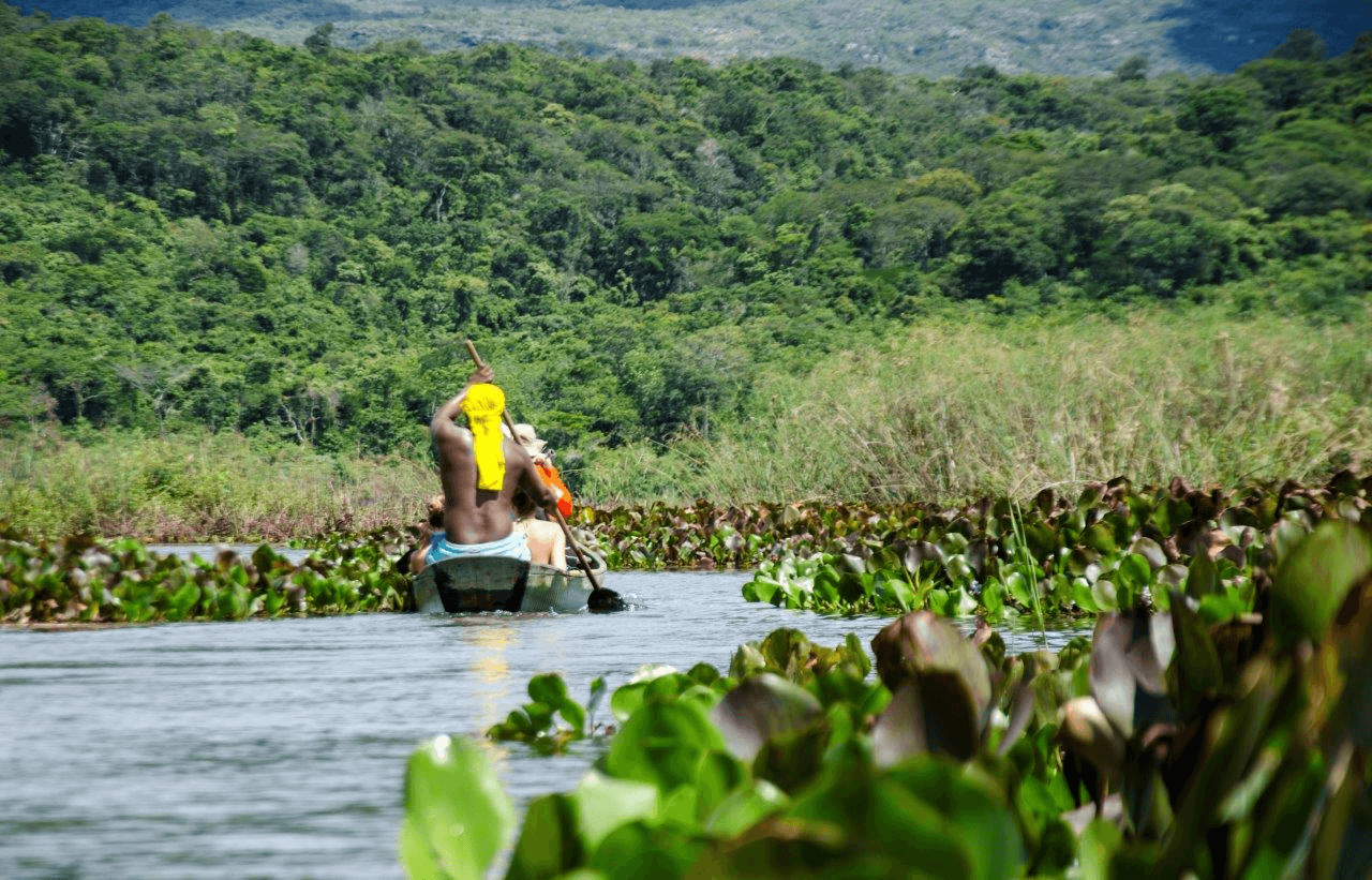 Pantanal2